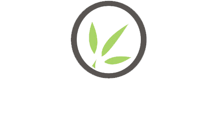 origin bamboo logo